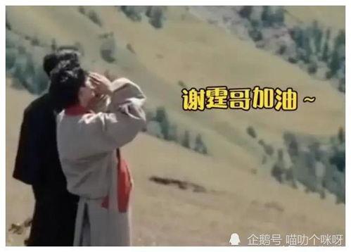 吃瓜娱乐爆料姐弟恋视频,姐弟恋视频曝光,甜蜜互动引网友热议