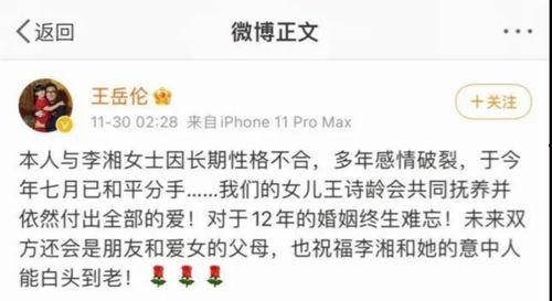 2024年娱乐吃瓜总结,吃瓜指南回顾