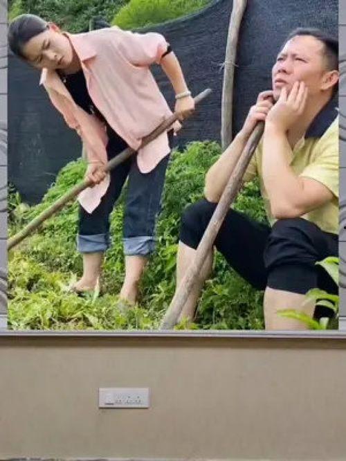 娱乐八卦吃瓜群众,揭秘明星幕后故事，吃瓜群众狂欢时刻